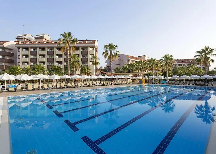 Hane Family סייד